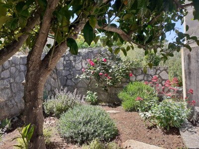 Apartment One bedroom apartment near beach Tri Žala, Korčula A-556-b - Outdoor photo 8