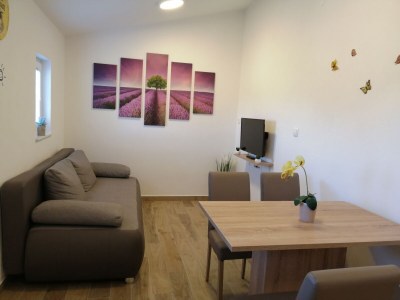 Apartment Two bedroom apartment with terrace Nin, Zadar A-6125-a in Nin - Apartment