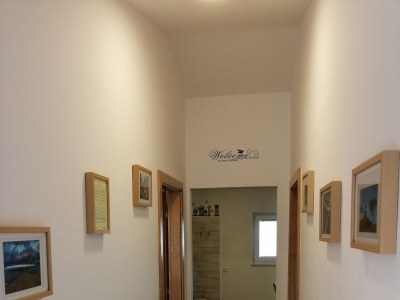 Apartment Two bedroom apartment with terrace Nin, Zadar A-6125-a - Outdoor photo 17