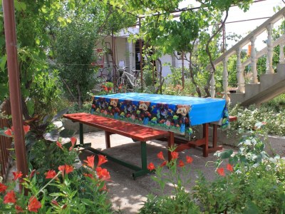 Apartment Studio flat with terrace and sea view Tkon, Pašman AS-8218-a in Tkon - Apartment