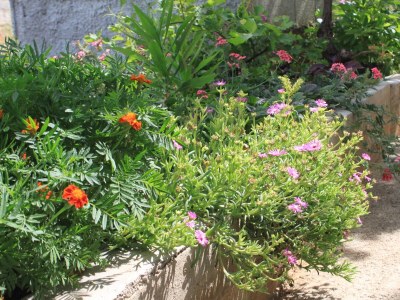 Apartment Studio flat with terrace and sea view Tkon, Pašman AS-8218-b - Outdoor photo 11