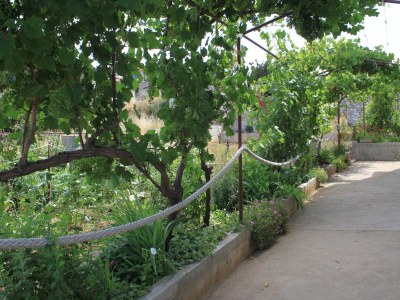 Apartment Studio flat with terrace and sea view Tkon, Pašman AS-8218-b - Outdoor photo 13