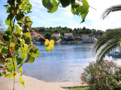 Apartment Two bedroom apartment near beach Lumbarda, Korčula A-9330-a - Outdoor photo 32