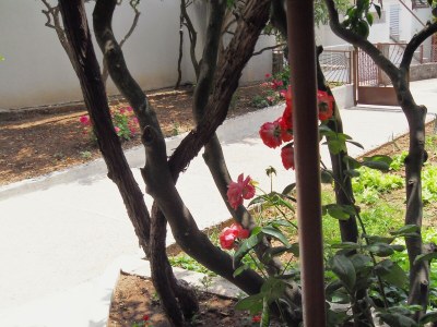 Holiday room with air-conditioning Zaostrog, Makarska S-2662-e - Outdoor photo 7