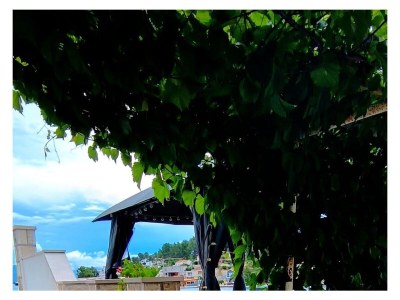 Apartment One bedroom apartment near beach Lumbarda, Korčula A-9330-b - Outdoor photo 26