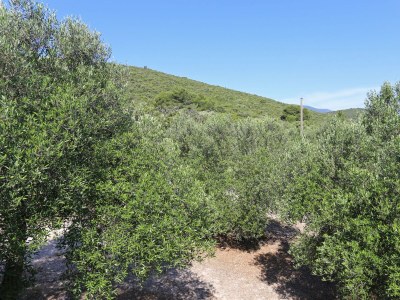 Apartment One bedroom apartment near beach Drače, Pelješac A-4529-b - Outdoor photo 26
