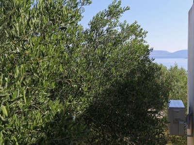 Apartment One bedroom apartment near beach Drače, Pelješac A-4529-b - Outdoor photo 27