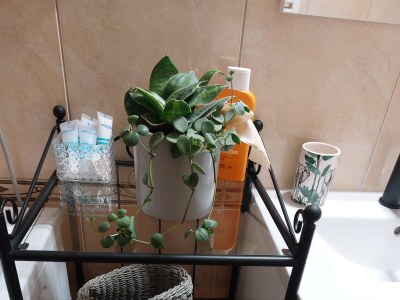 Apartment One bedroom apartment near beach Okrug Gornji, Čiovo A-9694-c - Outdoor photo 22