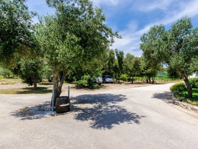 Apartment Studio flat near beach Drače, Pelješac AS-4529-a - Outdoor photo 12