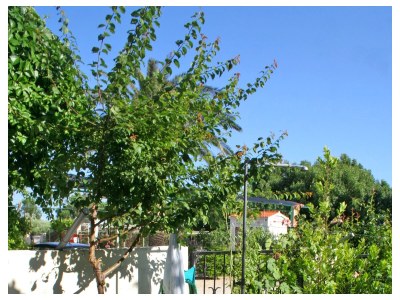 Holiday room near beach Duće, Omiš S-3063-a - Outdoor photo 12