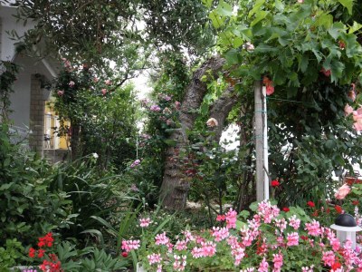 Apartment Two bedroom apartment near beach Barbat, Rab A-4975-b - Outdoor photo 7