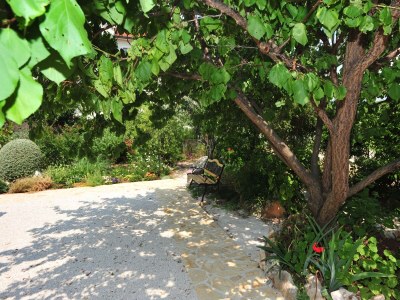 Apartment Three bedroom apartment with terrace and sea view Supetar, Brač A-11360-a - Outdoor photo 8