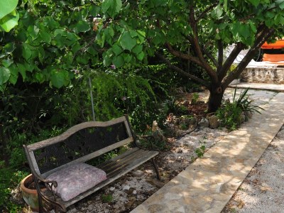 Apartment Three bedroom apartment with terrace and sea view Supetar, Brač A-11360-a - Outdoor photo 10