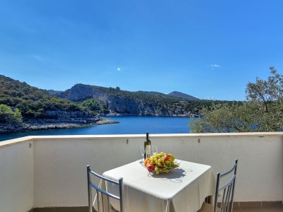 Apartment Studio flat near beach Cove Pokrivenik, Hvar AS-5231-a in Gdinj - Apartment