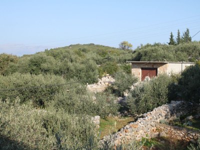 Apartment Studio flat near beach Cove Pokrivenik, Hvar AS-5231-e - Outdoor photo 17