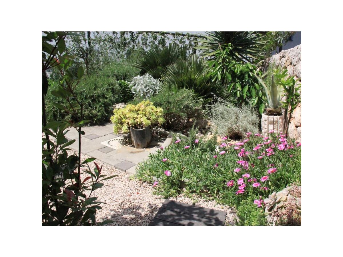 Apartment One bedroom apartment with terrace Njivice, Krk A-16244-a - Outdoor photo 3