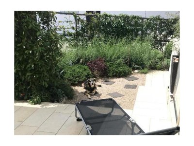 Apartment One bedroom apartment with terrace Njivice, Krk A-16244-a - Outdoor photo 22