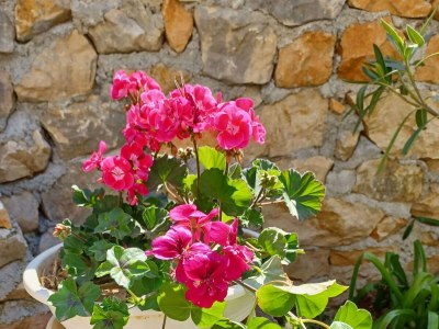 Apartment Studio flat with terrace and sea view Vinjerac, Zadar AS-23145-a - Outdoor photo 6