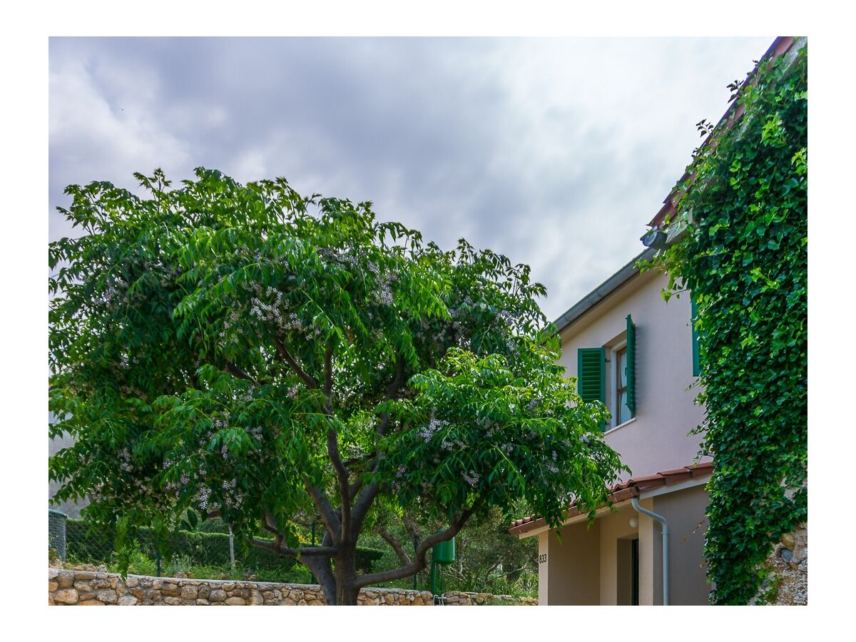 Holiday house Two bedroom house with air-conditioning Banjol, Rab K-20120 - Outdoor photo 5