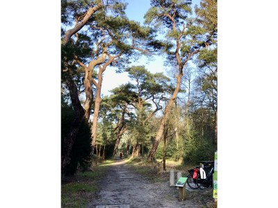 Holiday house No title - Environment photo 37