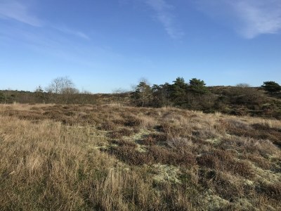 Holiday house No title - Environment photo 38