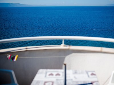 Apartment One bedroom apartment near beach Drašnice, Makarska A-20243-e - Outdoor photo 13