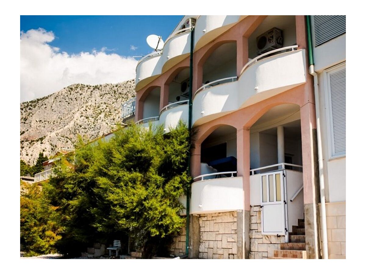 Apartment One bedroom apartment near beach Drašnice, Makarska A-20243-f - Outdoor photo 5