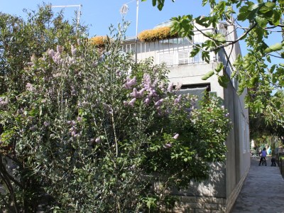 Apartment Three bedroom apartment near beach Sukošan, Zadar A-6133-a in Sukosan - Apartment