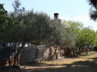 Apartment Three bedroom apartment near beach Sukošan, Zadar A-6133-a - Outdoor photo 2