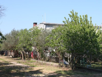 Apartment Three bedroom apartment near beach Sukošan, Zadar A-6133-a - Outdoor photo 3