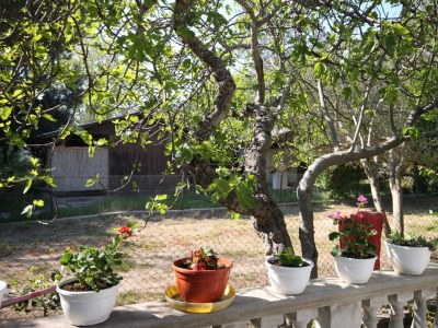 Apartment Three bedroom apartment near beach Sukošan, Zadar A-6133-a - Outdoor photo 31