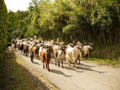 Villa Villa in Tuscany with Infinity Pool - Outdoor photo 10
