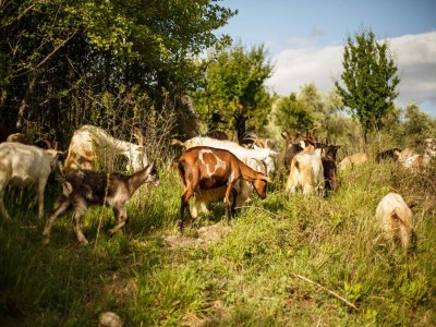 Villa Villa in Tuscany with Infinity Pool - Outdoor photo 30