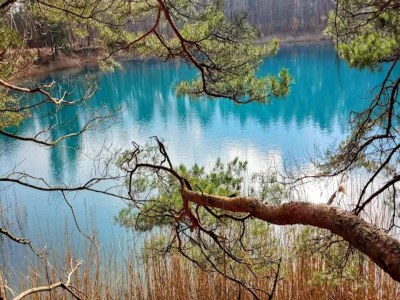 House boat Lake Breeze Retreat in Klitten - Environment photo 35