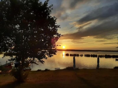 House boat Hausboot für 4 Personen auf dem Gräbendorfer See - Environment photo 38