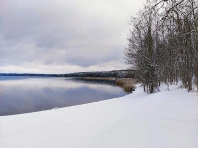 House boat Hausboot am Gräbendorfer - Environment photo 31