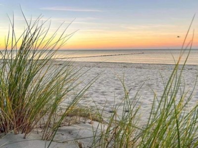 House boat Modern houseboat for 4 guests - Environment photo 35