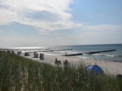 House boat Bright Base with Coastal Access - Environment photo 33