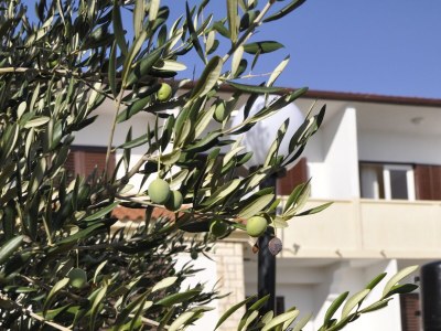 Apartment Two bedroom apartment near beach Barbat, Rab A-14512-c - Outdoor photo 14