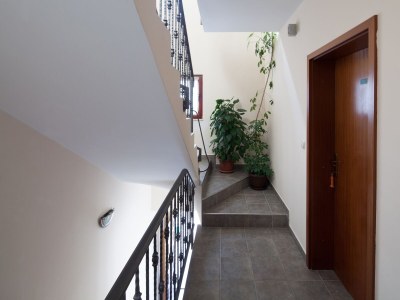 Apartment One bedroom apartment near beach Bilo, Primošten A-4191-d - Outdoor photo 6