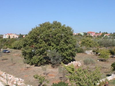 Apartment Studio flat with terrace Fažana AS-7252-b - Outdoor photo 13