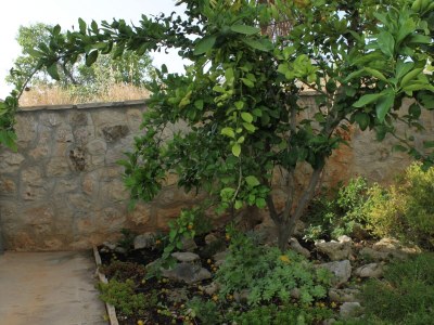 Holiday house Four-bedroom house with terrace and sea view Kukljica, Ugljan K-8251 - Outdoor photo 18