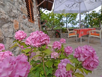 Apartment Studio flat with terrace Veli Lošinj, Lošinj AS-21185-d in Veli Losinj - Apartment