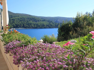 Apartment Two bedroom apartment near beach Slano, Dubrovnik A-8741-a - Outdoor photo 7