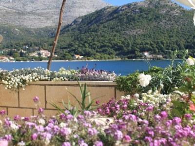 Apartment Two bedroom apartment near beach Slano, Dubrovnik A-8741-a - Outdoor photo 8