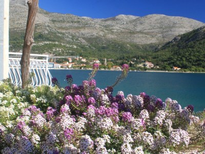 Apartment Two bedroom apartment near beach Slano, Dubrovnik A-8741-a - Outdoor photo 12