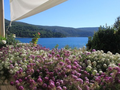 Apartment Two bedroom apartment near beach Slano, Dubrovnik A-8741-a - Outdoor photo 13