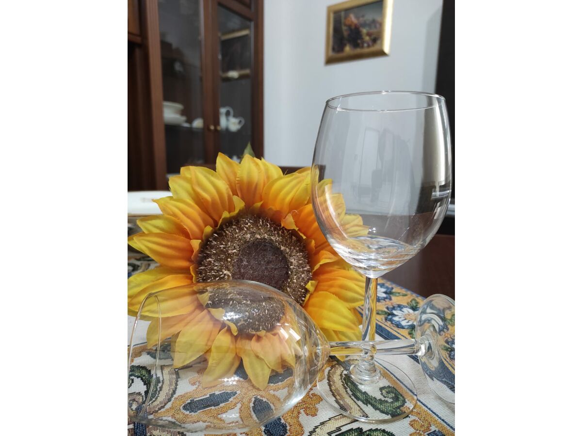 Holiday apartment Medea - Outdoor photo 3