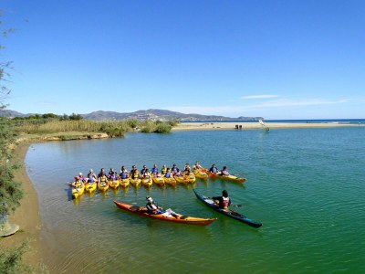 Apartment Apartment in Empuriabrava near Sandy Beach - Environment photo 24
