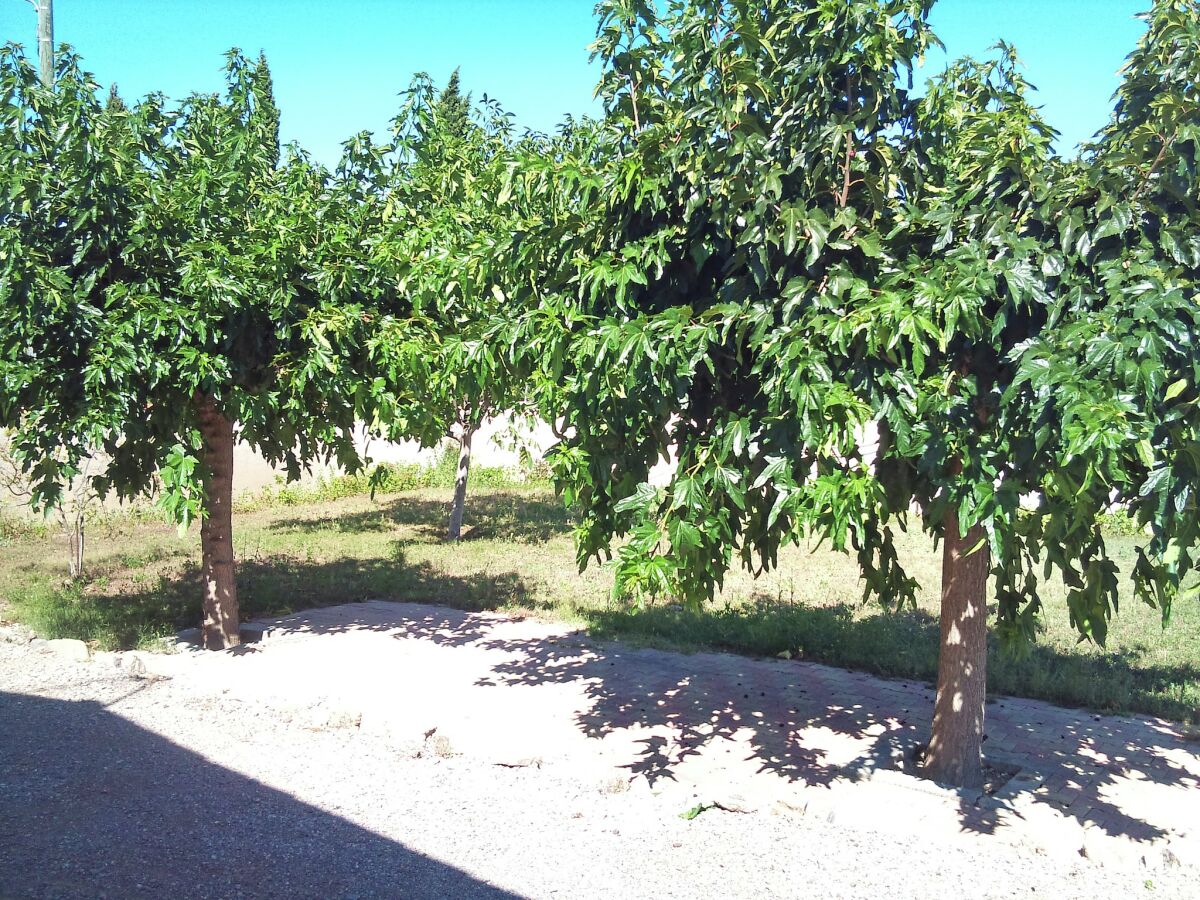 Holiday house Holiday Home in Argeliers near Sandy Beaches - Outdoor photo 4